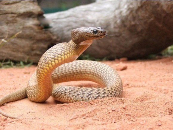 ������������� ȫ������Ĵ���