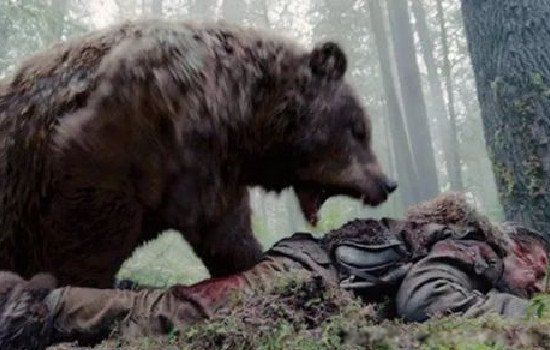 根据报道,在俄罗斯就发生了一起熊活生生咬死人的事件.