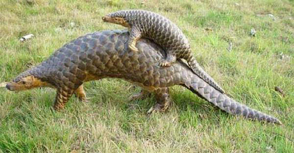 �����ʹ�ɽ�׵����������� Ϊʲô���νӽ���ʲô����