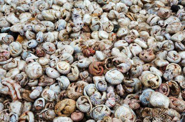 �����ʹ�ɽ�׵����������� Ϊʲô���νӽ���ʲô����