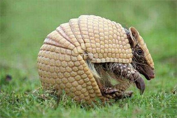 �����ʹ�ɽ�׵����������� Ϊʲô���νӽ���ʲô����