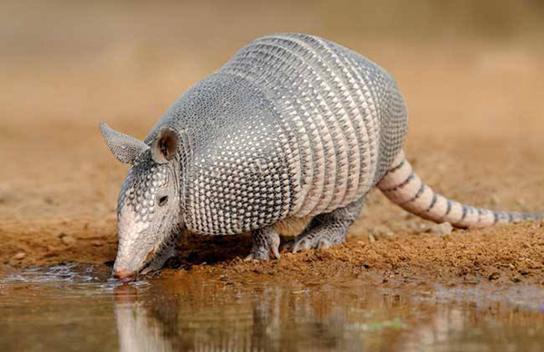 �����ʹ�ɽ�׵����������� Ϊʲô���νӽ���ʲô����