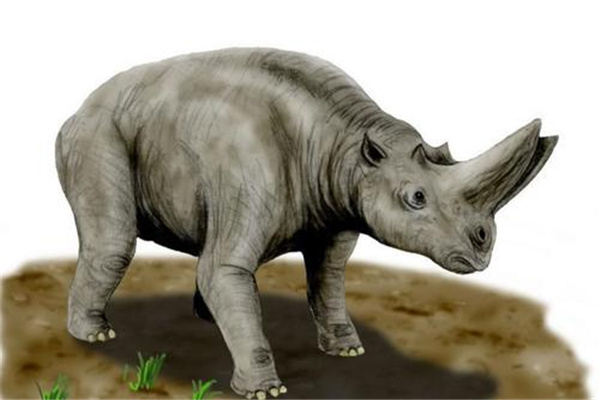 �����ؽ�����Ϭţ�� �����ؽ��޶���������