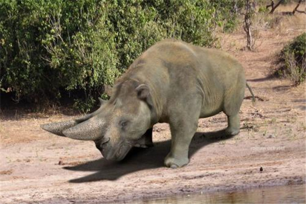 �����ؽ�����Ϭţ�� �����ؽ��޶���������