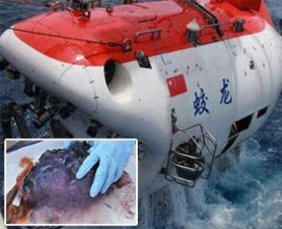 �����ſ�����ʲô �������������ɺ���6699�״�ץ��