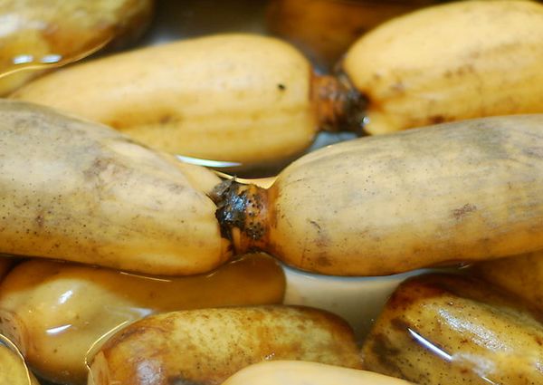 ��ź˿��ʲô��֯ ź��˿����˿��ֲ���ʲô��֯