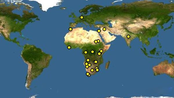 ƽͷ�����������ʲô�̶� Ϊʲôƽͷ�粻����