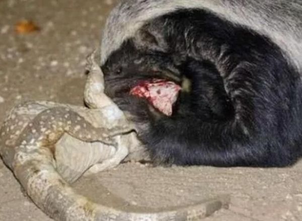 ƽͷ�����������ʲô�̶� Ϊʲôƽͷ�粻����