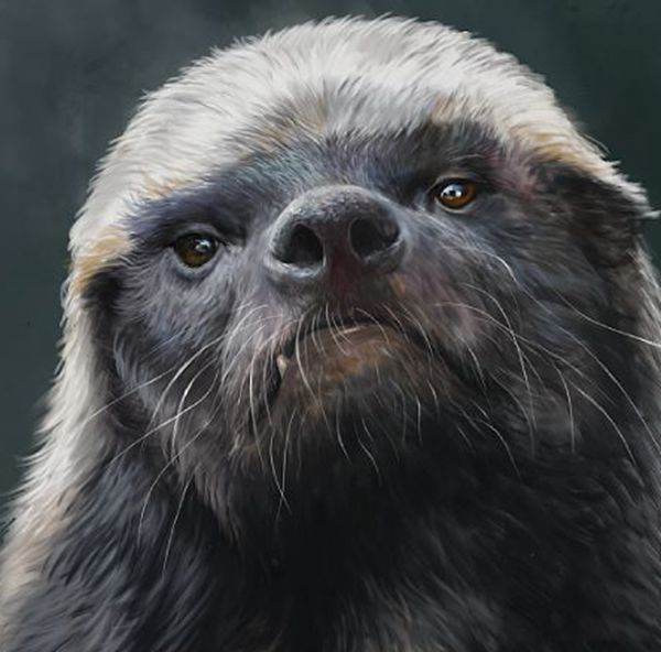 ƽͷ�����������ʲô�̶� Ϊʲôƽͷ�粻����