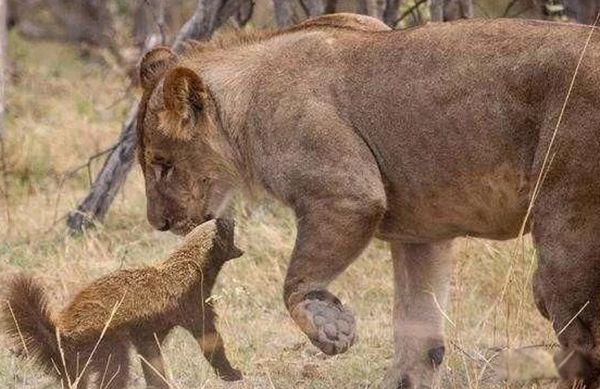 ƽͷ�����������ʲô�̶� Ϊʲôƽͷ�粻����