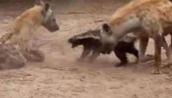 ƽͷ�����������ʲô�̶� Ϊʲôƽͷ�粻����