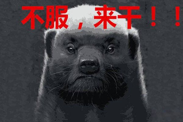 平头哥的精神名句 关于平头哥的名言有哪些