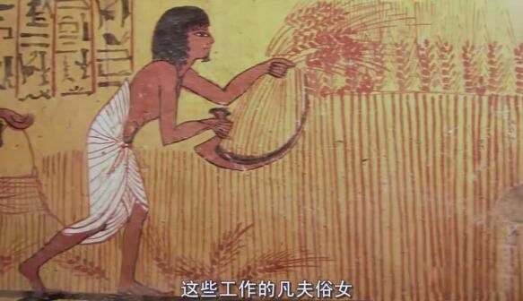 古埃及人是什么人种 神秘古埃及人是黑人还是白人呢