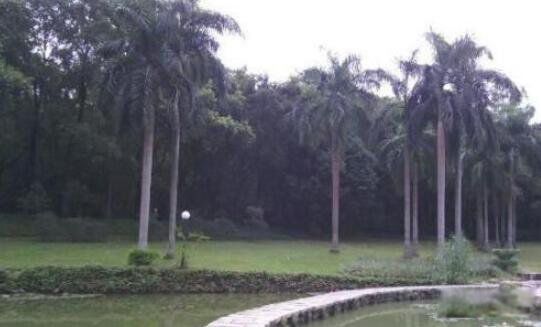 ���ڴ�ѧ�Ŀֲ��¼�������� ���ڴ�ѧ����ͼ��һ������ͼƬ