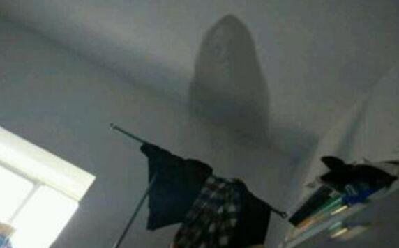 ���ڴ�ѧ�Ŀֲ��¼�������� ���ڴ�ѧ����ͼ��һ������ͼƬ