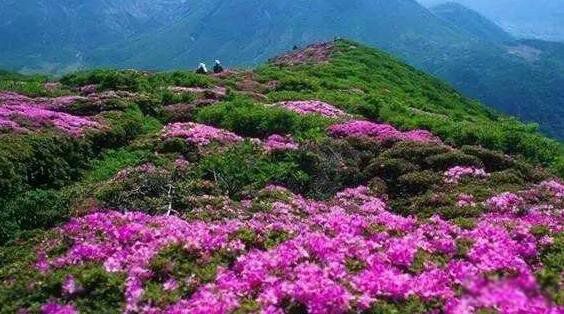 ���ڴ�ѧ�Ŀֲ��¼�������� ���ڴ�ѧ����ͼ��һ������ͼƬ