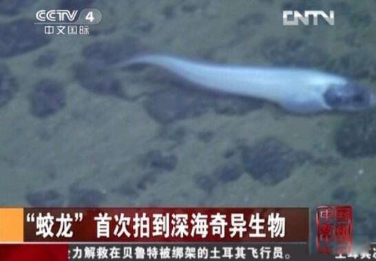 �����ſ�����ʲô �������������ɺ���6699�״�ץ��