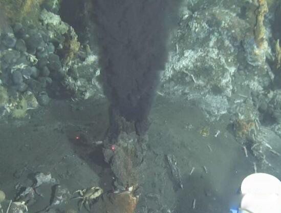 �����ſ�����ʲô �������������ɺ���6699�״�ץ��