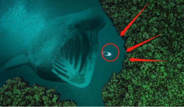 马里亚纳海沟恐怖在哪万米有多恐怖 世界最深海沟为什么这么令人害怕