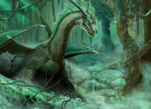 ����������������Щ �������������趨����