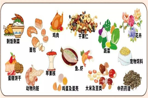 垃圾分类顺口溜 猪能吃的是湿垃圾,猪不能吃的是干垃圾准确吗