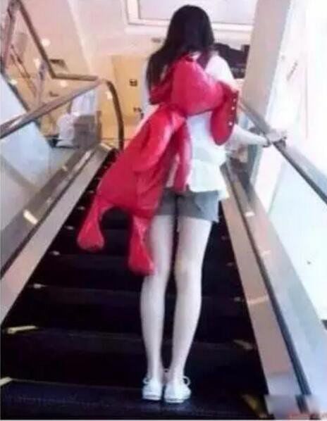 ��ֲ�����Ƭ����20���� �������˶���ɵ��