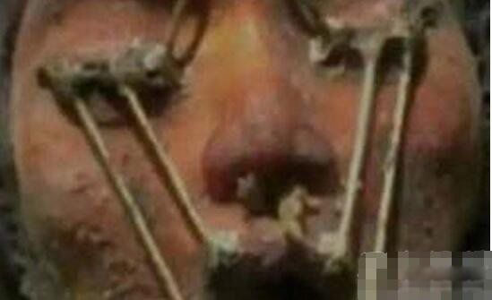 �����ϵ�����Ůʬ���� �����޴�������ص�����Ů�����Ǽ�