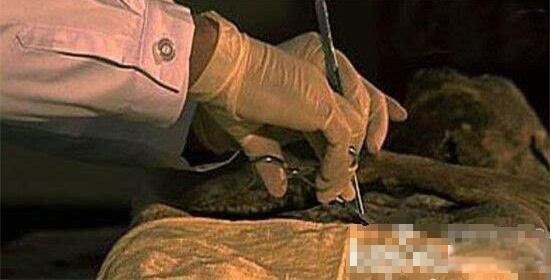 �����ϵ�����Ůʬ���� �����޴�������ص�����Ů�����Ǽ�