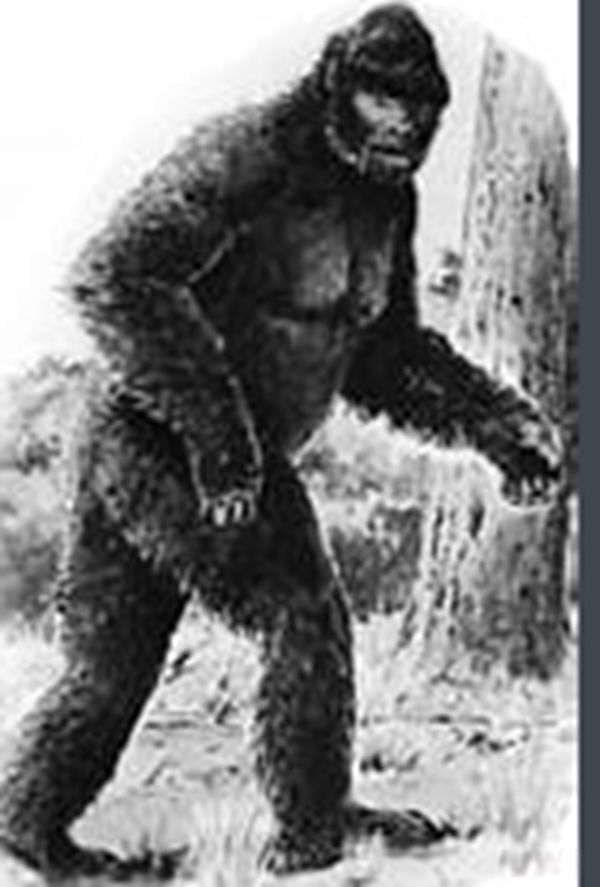 �й�δ��֮����ʵ���� �ֲ�20��δ��֮�տֲ��¼�