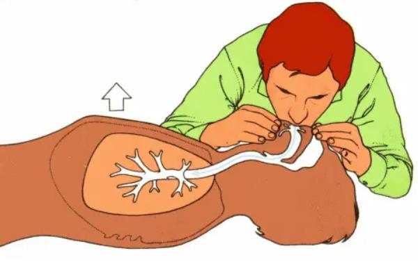 �˹��������˵�ҽѧ���������˭ ��������˹������������˵�ҽѧ����˭