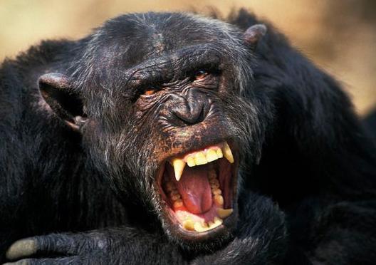 ����˹�����ӽ�����ô���� һ���������ɺ�Ů���ӽ��ĵ�Ӱ