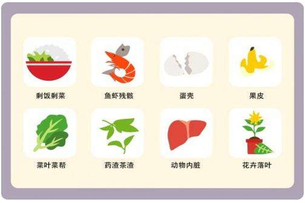 猪能吃的是湿垃圾这句话有错吗 根据猪能不能吃来对垃圾进行分类