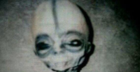 ��������ʵ���ڵ��¼� ������ʵ���ݽ�ʲô