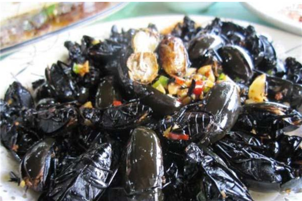 �㶫Ӥ�����¼�����ȫ���� Ӥ�����¼��������