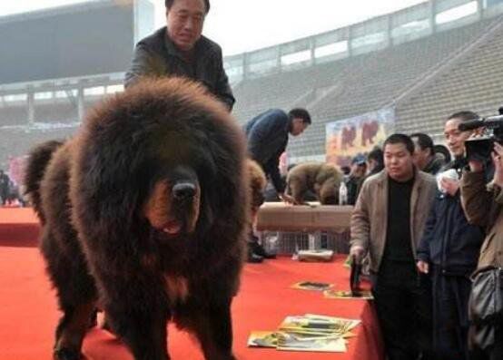 �����޲����� ����Ϊʲô���ڲ�ֵǮ��