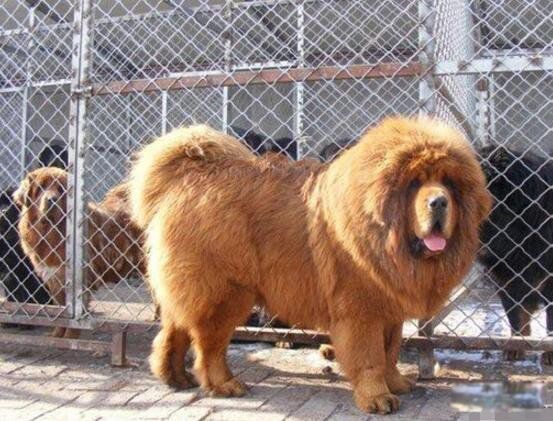 �����޲����� ����Ϊʲô���ڲ�ֵǮ��