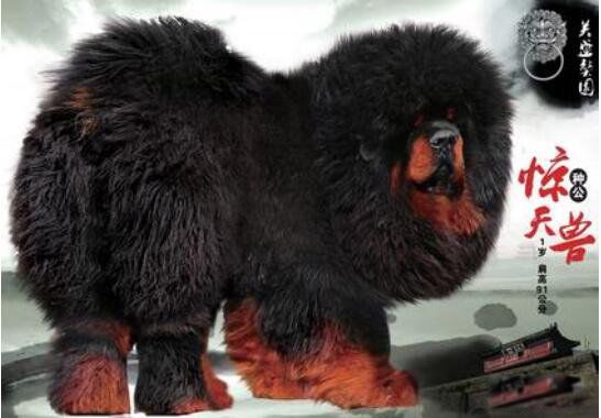 �����޲����� ����Ϊʲô���ڲ�ֵǮ��