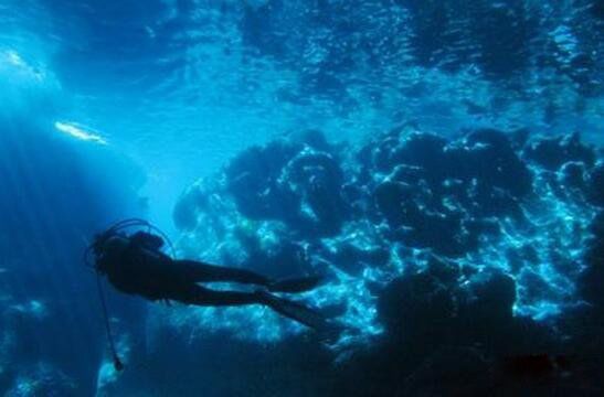 �鶼��˹������� ��������ô�γɵ�