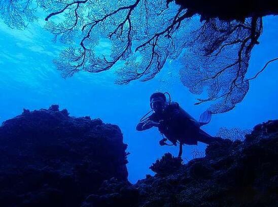 �鶼��˹������� ��������ô�γɵ�