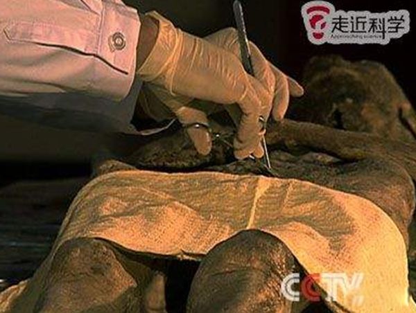 清代香尸谜案复原图 安徽砀山挖出的香尸到底怎么回事