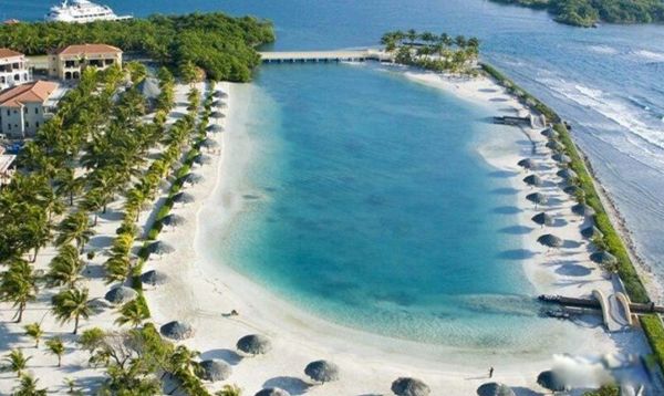 �鶼��˹���ĸ��޵Ĺ��� �ж�ֲ�������ʲô����
