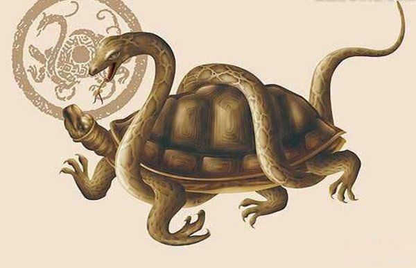 四大灵兽和四大神兽是哪四种动物 盘点远古真正的8大顶级兽