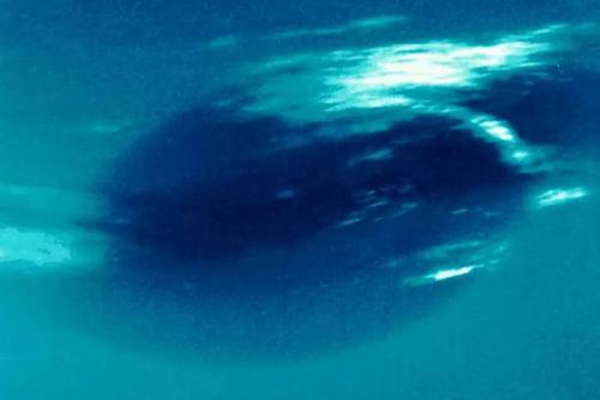 海王星是什么意思 海王星恐怖照片胆小勿入