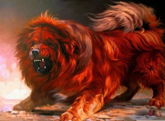 �����޲����� ����Ϊʲô���ڲ�ֵǮ��