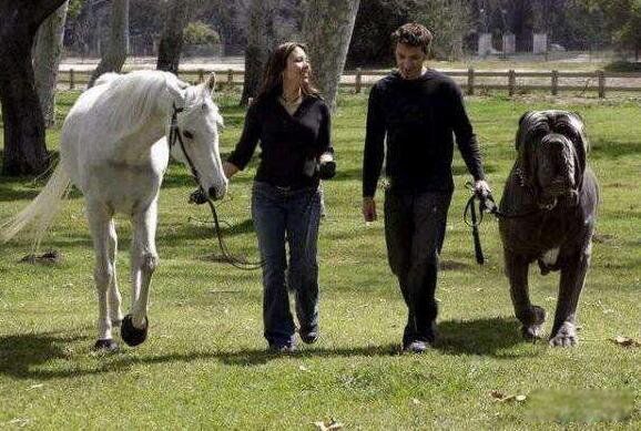 �����޲����� ����Ϊʲô���ڲ�ֵǮ��