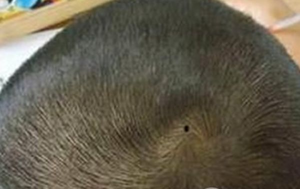 ��������10�������Ǹ����� ������һ����в�