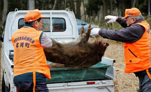 �ձ��������ַ������ӽ�Ұ�� ��������Ұ�������¼�