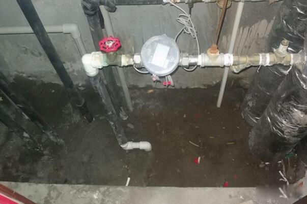 ����˵����ֲ�һ�� ��ֲ���ɱ�˰���������˭