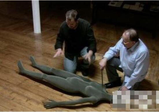 ����˵����ֲ�һ�� ��ֲ���ɱ�˰���������˭