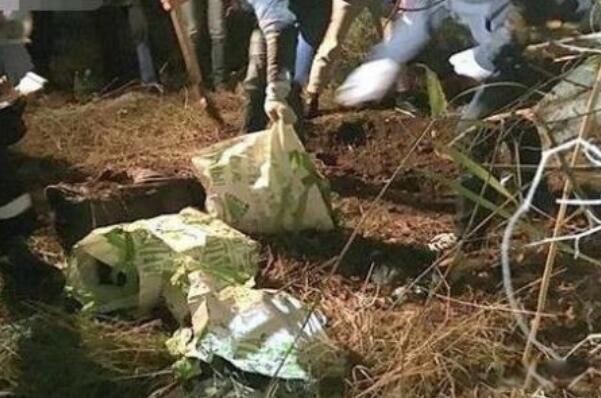 ����˵����ֲ�һ�� ��ֲ���ɱ�˰���������˭